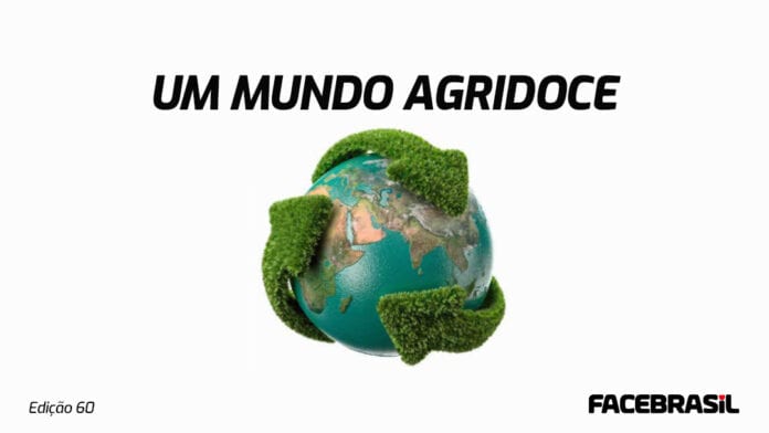 10:05_Facebrasil122020.81