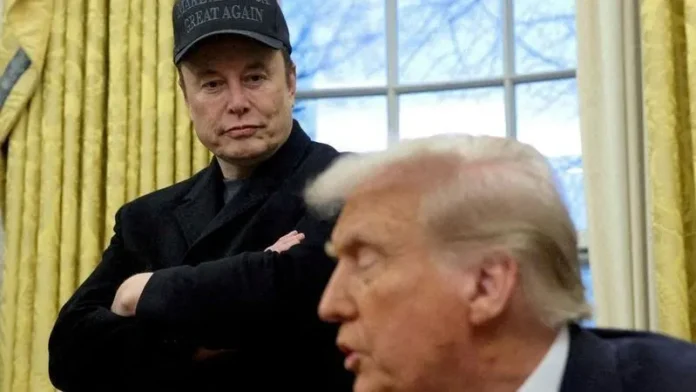 trump e musk